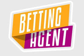 9Wickets Agents Selection Guide: How to Choose a Trusted and Reliable Agent